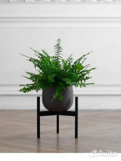 Подставка для комнатных растений