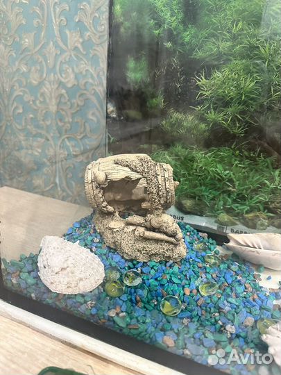 Аквариум+ фильтр-кислород+ аксессуары