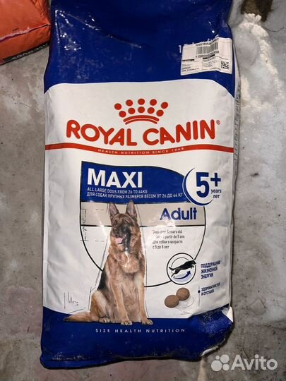 Корм для собак