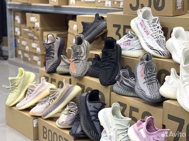 Nike Adidas New Balance Vans Converse