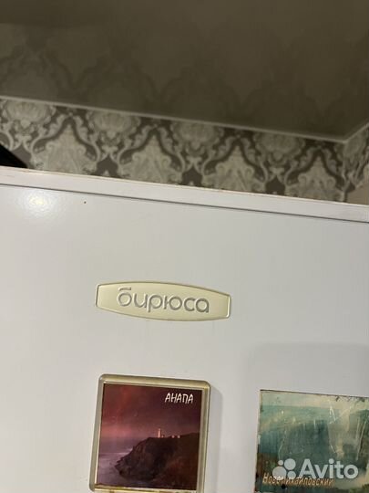 Холодильник бирюса