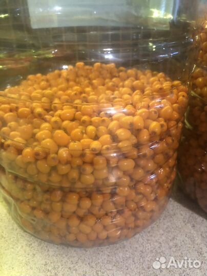 Облепиха свежая