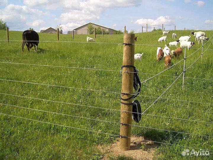 Электропастух Статик 3М