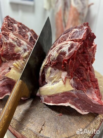 Курсы мясного дела