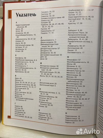 Энциклопедия для детей