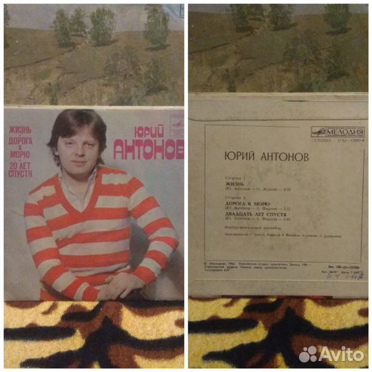 Виниловые пластинки 