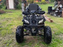 Boss ATV BS250