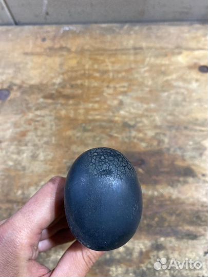 Ручка АКПП Mercedes-Benz S-Class W220 M113E50