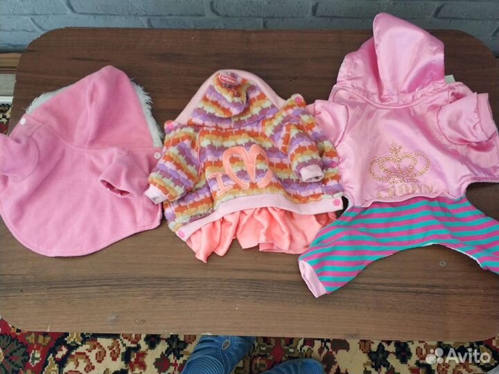 Одежда для собак мелких пород