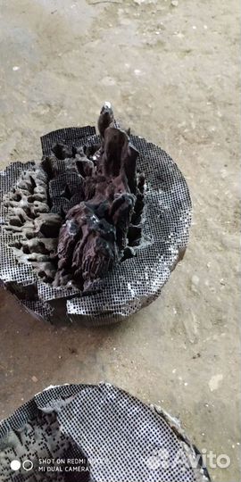 Чип тюнинг. Удаление катализатора