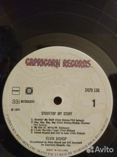 Виниловая пластинка