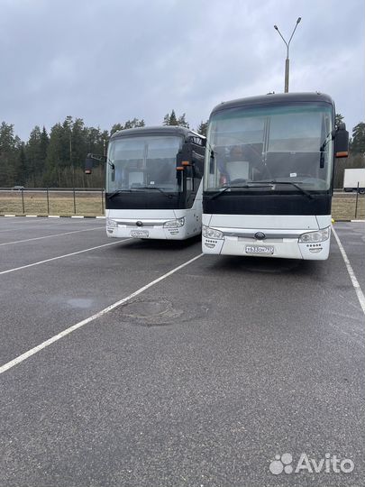 Водитель категории D