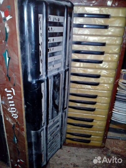 Аккордеон Танго