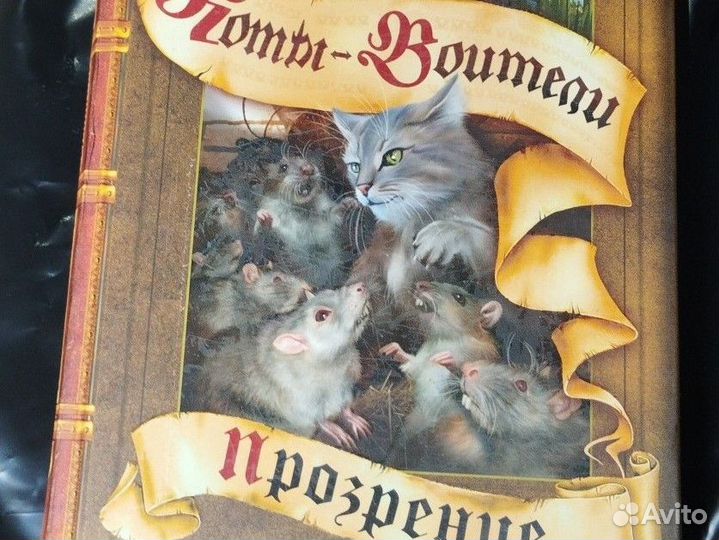 Обещание метеора 