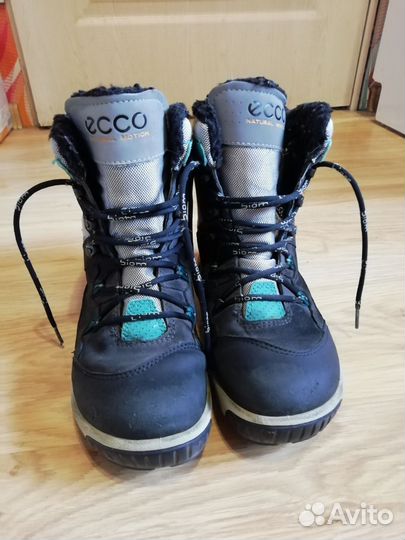 Зимние ботинки Ecco 37