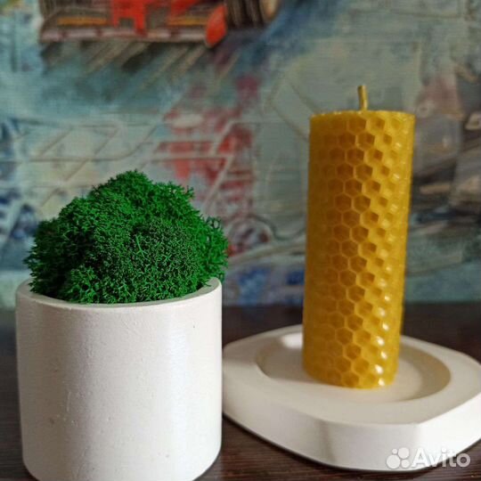 Стабилизированный мох, свеча из вощины, подсвечник