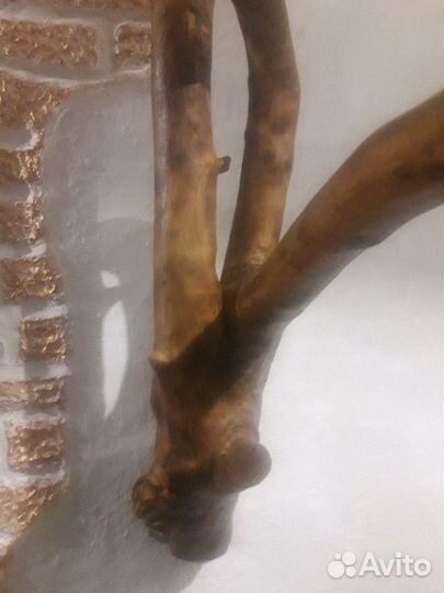 Дерево вешалка