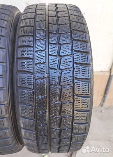 Dunlop Winter Maxx WM01 215/50 R17 96V