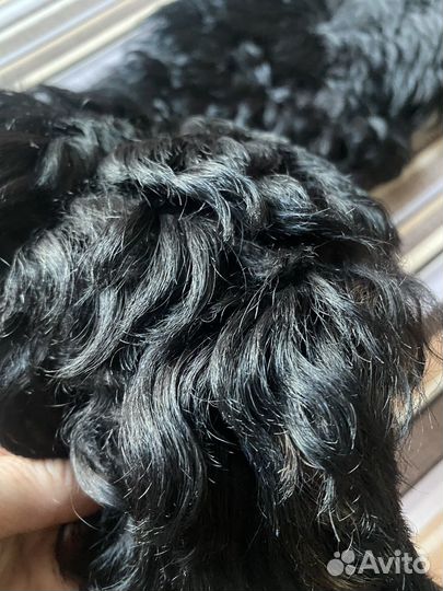 Меховой воротник овчина