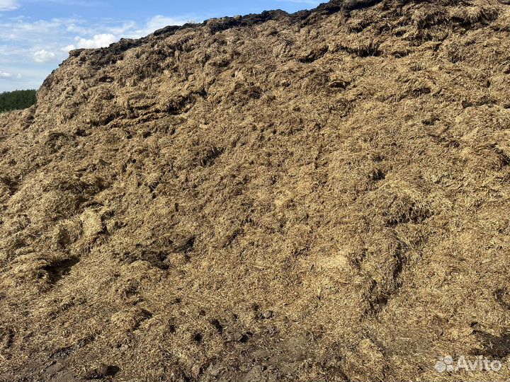 Сенаж многолетних трав