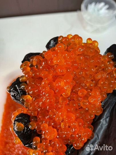 Красная икра розница и опт
