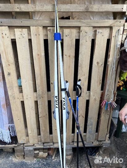 Беговые лыжи