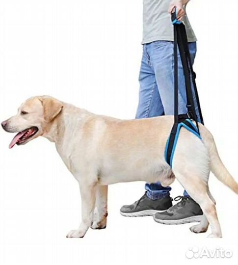 Ходунки для собак