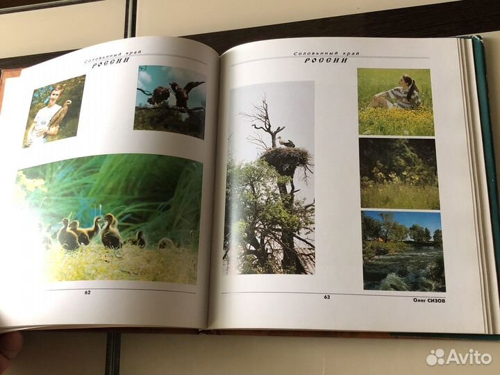 Соловьиный край россии