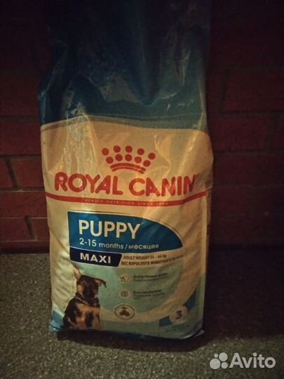 Сухой корм для собак