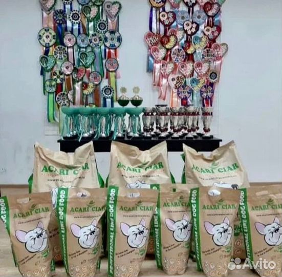 Корм для собак Акари Киар