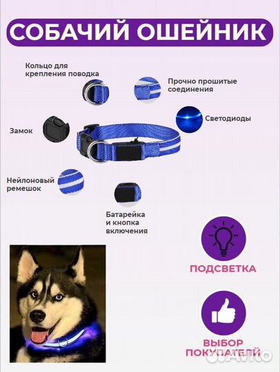 Ошейник для собак светящийся