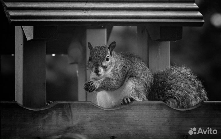 Leica APO-Telyt-R 180mm f/3.4 обмен