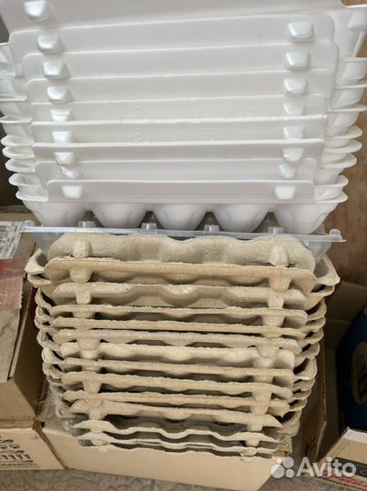 Лотки для яиц