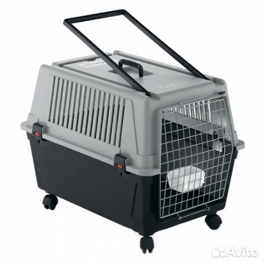 Аренда переноска для собаки