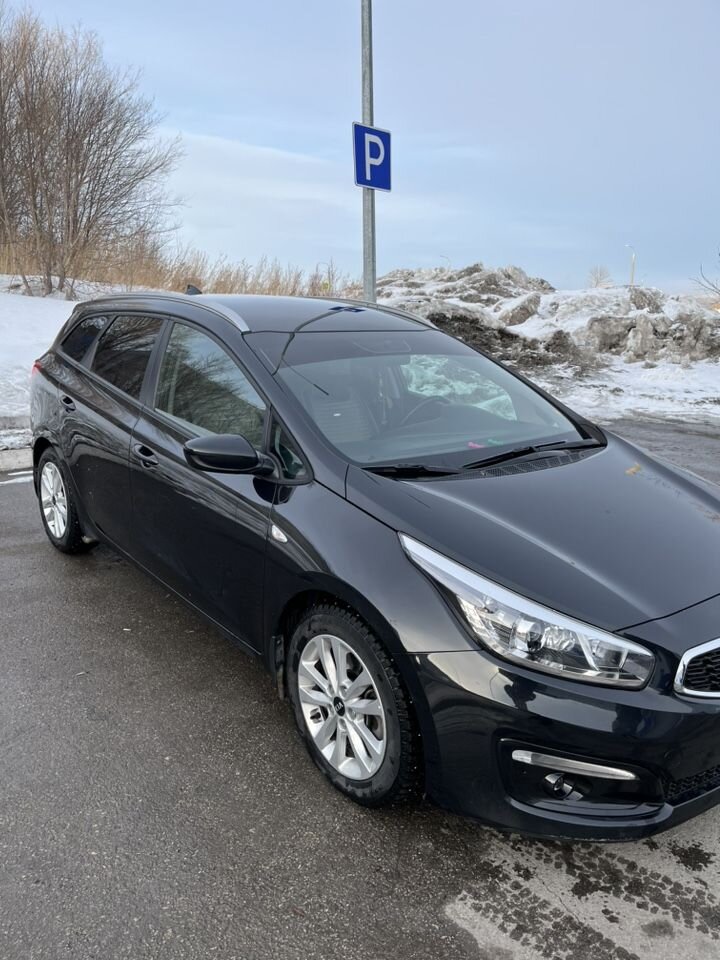 Kia Ceed: фото владельца