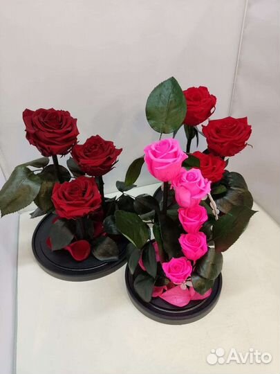 Подарок на новый год / Роза в колбе оптом