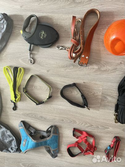 Амуниция для собак