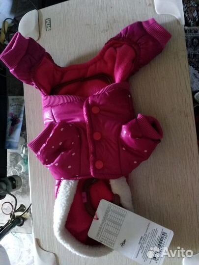 Комбинезон и обувь для собачек