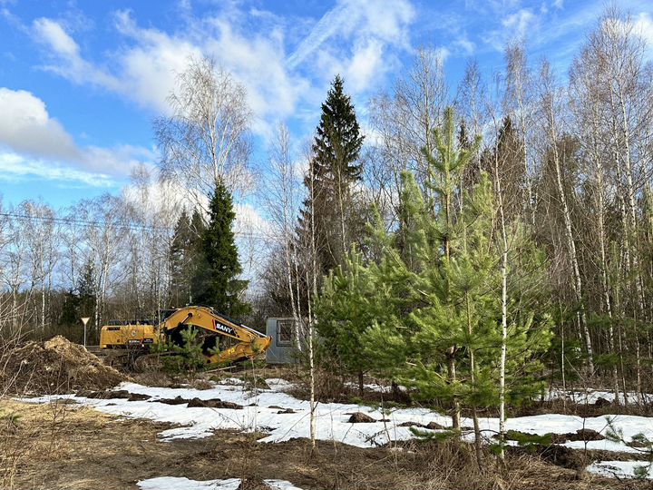 Участок 6,3 сот. (ИЖС)