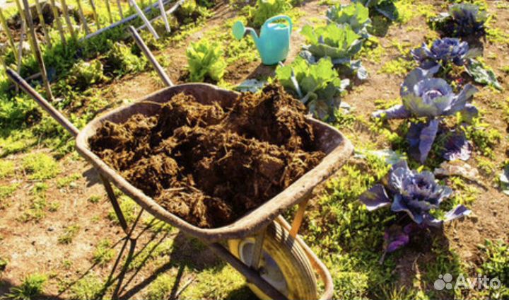 Перегной с участка