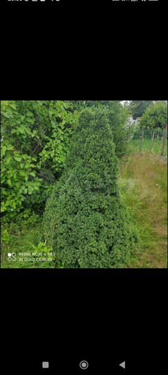 Дом 43 м² на участке 6,9 сот.