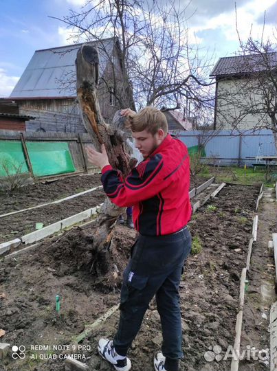 Мастер на час