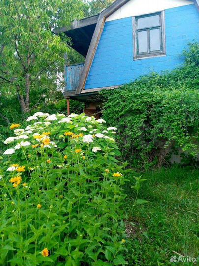 Дача 39 м² на участке 8 сот.