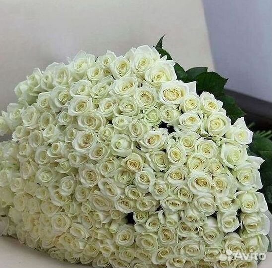 Высокие розы 150 160 170 180 190см доставка Москва