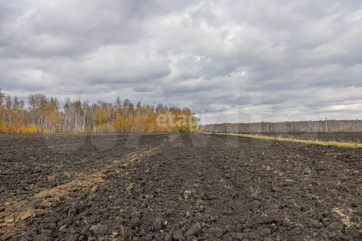 Участок 9,8 сот. (СНТ, ДНП)