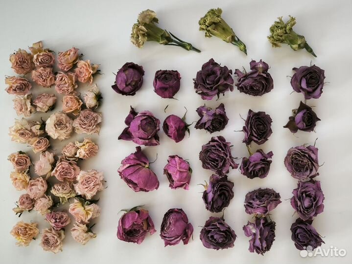 Суxоцветы из кустовых роз для творчecтва