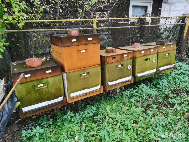 Продается оборудование для пасеки Дадан