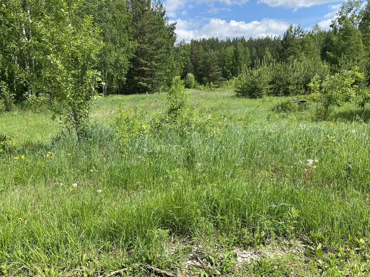 Участок 20 сот. (ИЖС)