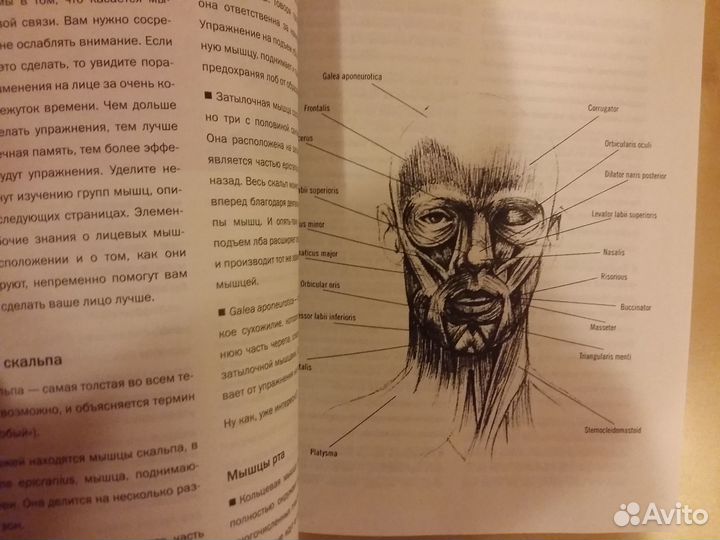 Книги.8.Диеты.Ковальков.Бодифлекс