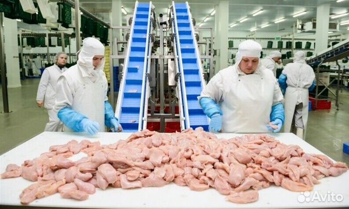 Требуются разнорабочие(вахта)